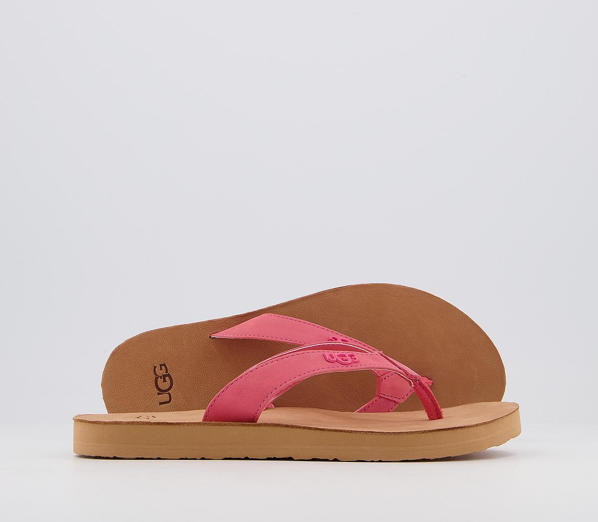 Ugg tawney rose sale gold flip flops