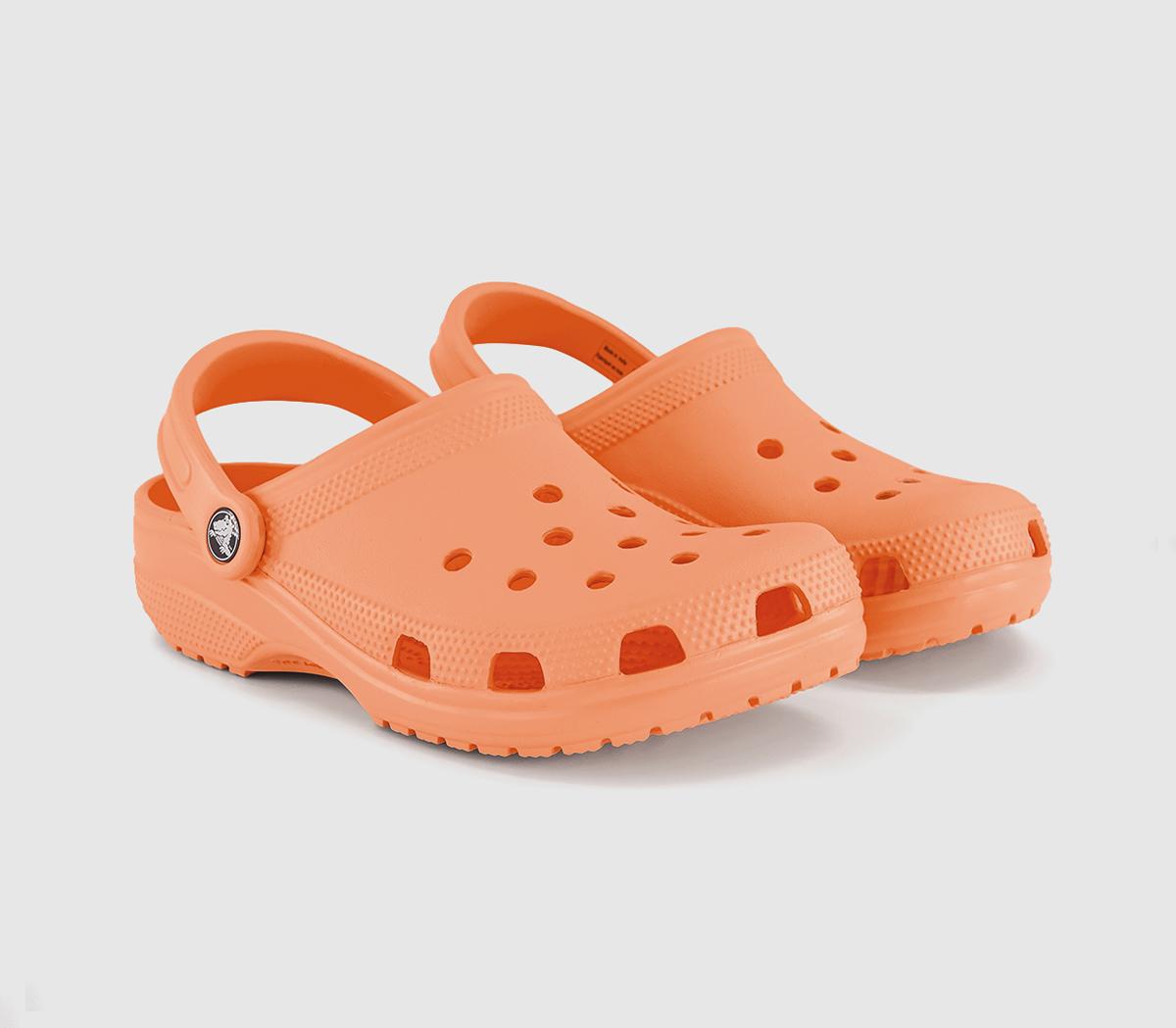 CrocsClassic ClogsElectric Sunstone