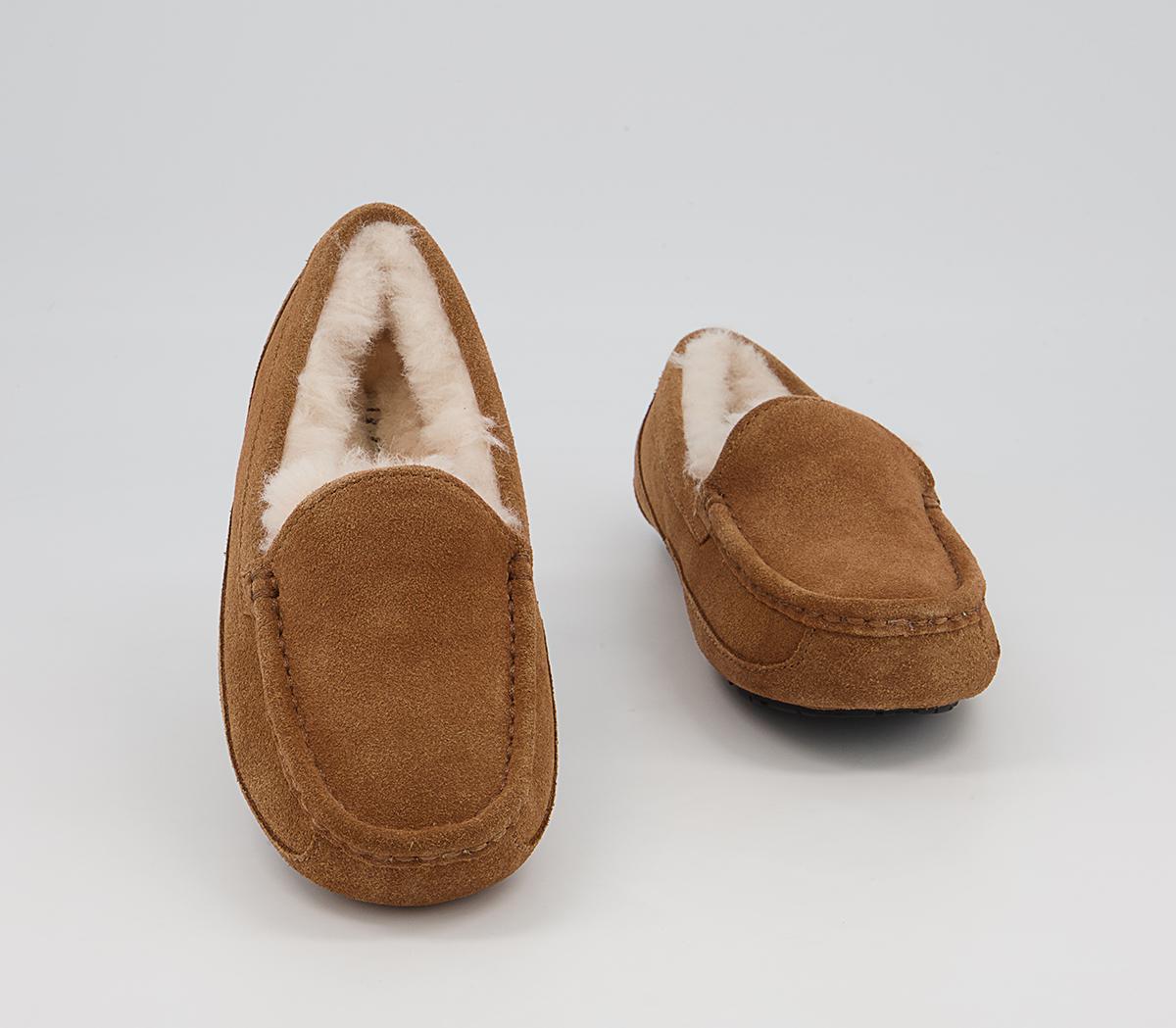 UGG Ascot Youth Slippers UGG Ascot Youth Slippers Chestnut Suede