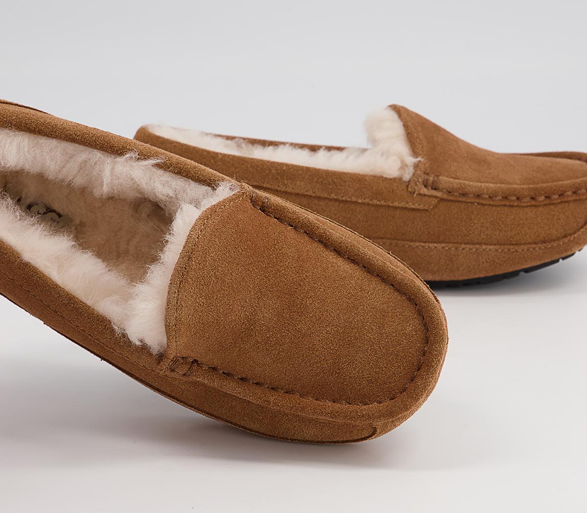 UGG Ascot Youth Slippers UGG Ascot Youth Slippers Chestnut Suede