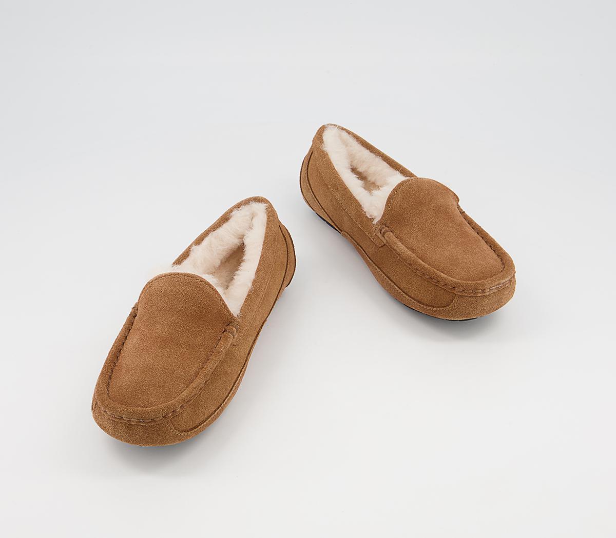UGG Ascot Youth Slippers UGG Ascot Youth Slippers Chestnut Suede