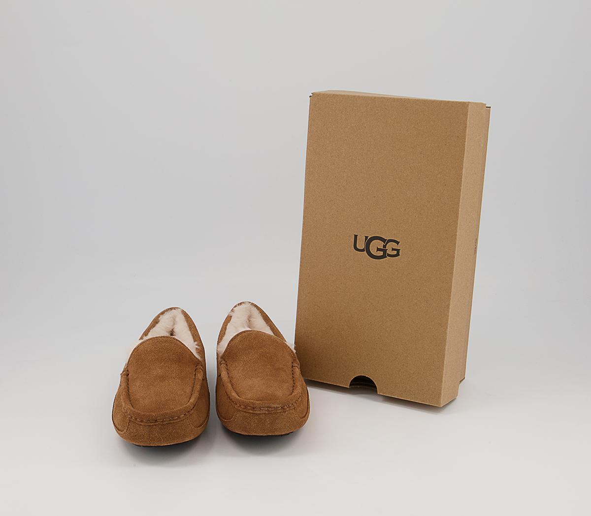 UGG Ascot Youth Slippers UGG Ascot Youth Slippers Chestnut Suede