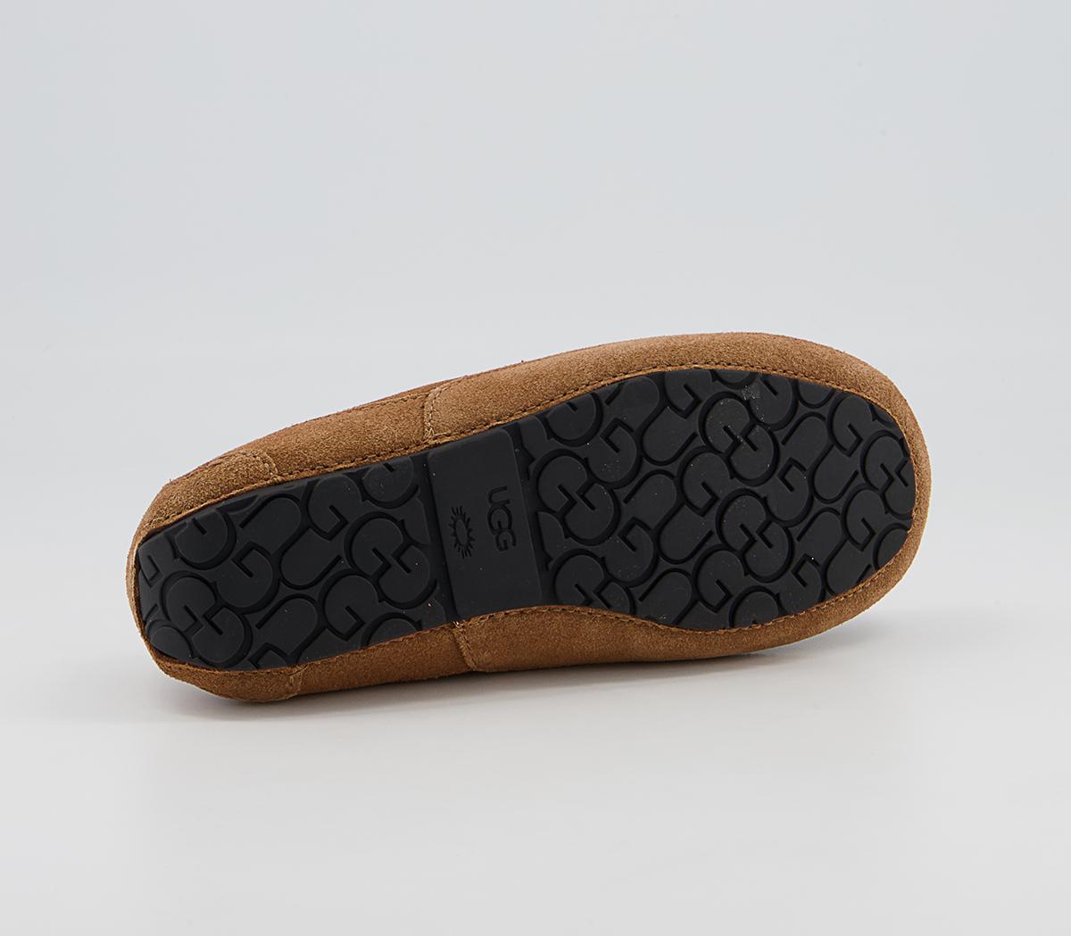 UGG Ascot Youth Slippers UGG Ascot Youth Slippers Chestnut Suede