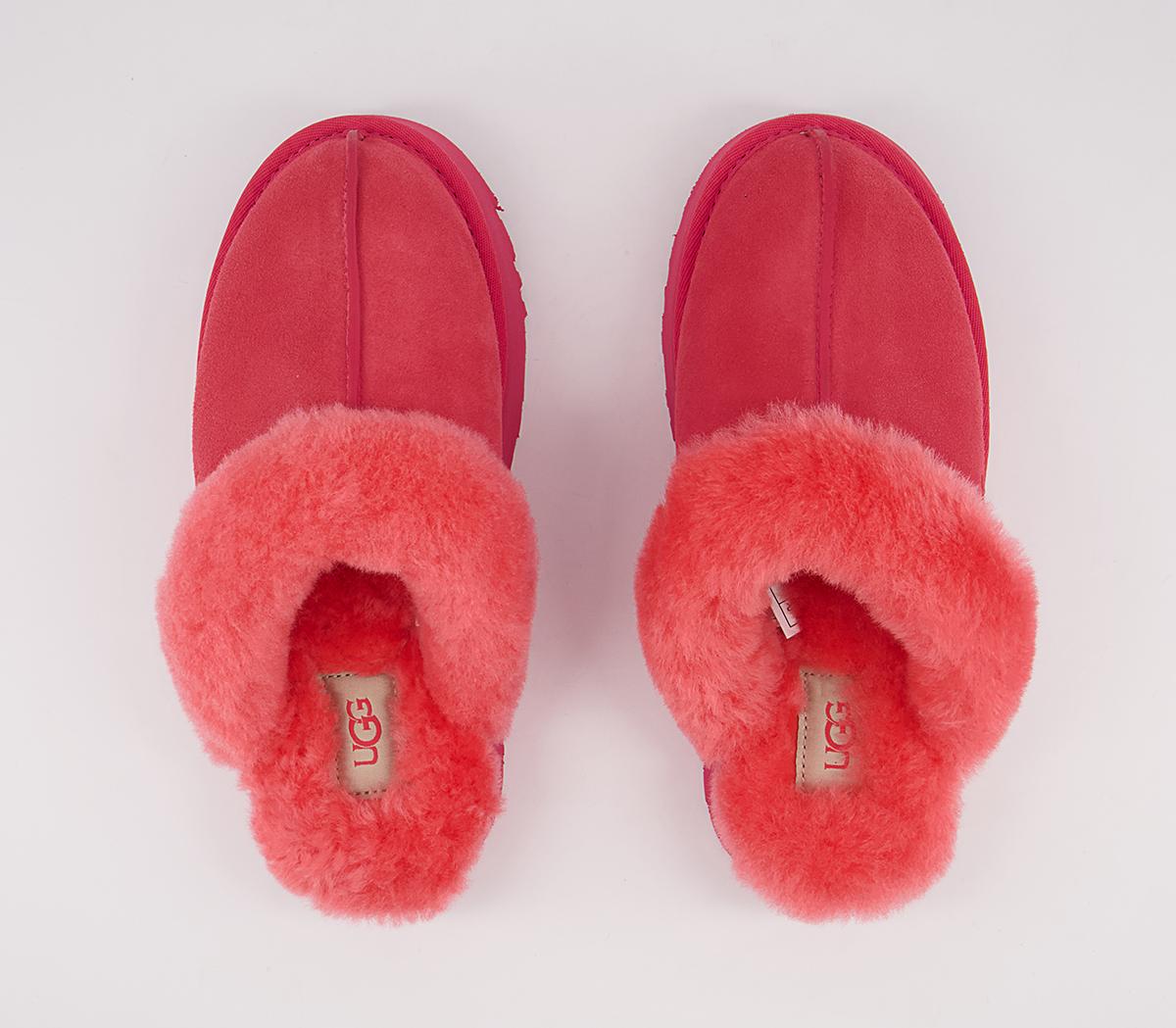 UGG Disquette Slippers UGG Disquette Slippers Hibiscus Pink