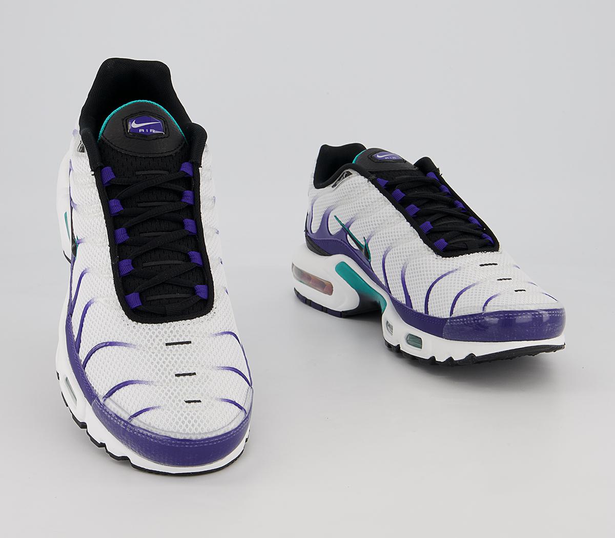 air max plus trainers