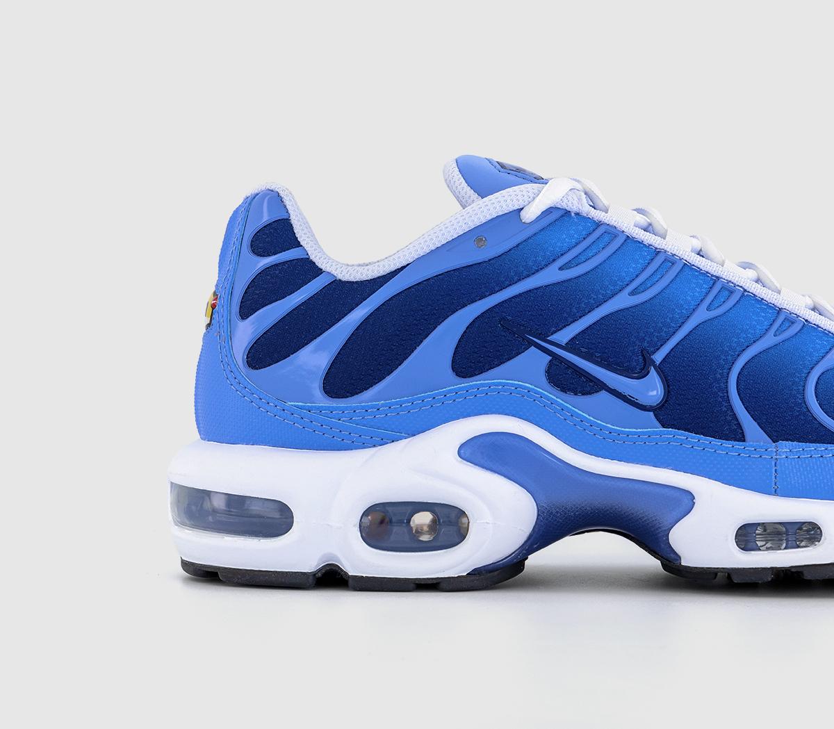 NikeAir Max Plus TrainersBlue Blue