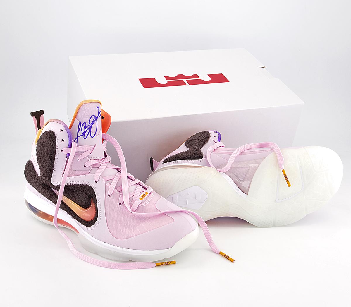 Nike Lebron Ix Trainers Nike Lebron Ix Trainers Regal Pink Multi Color Velvet Brown