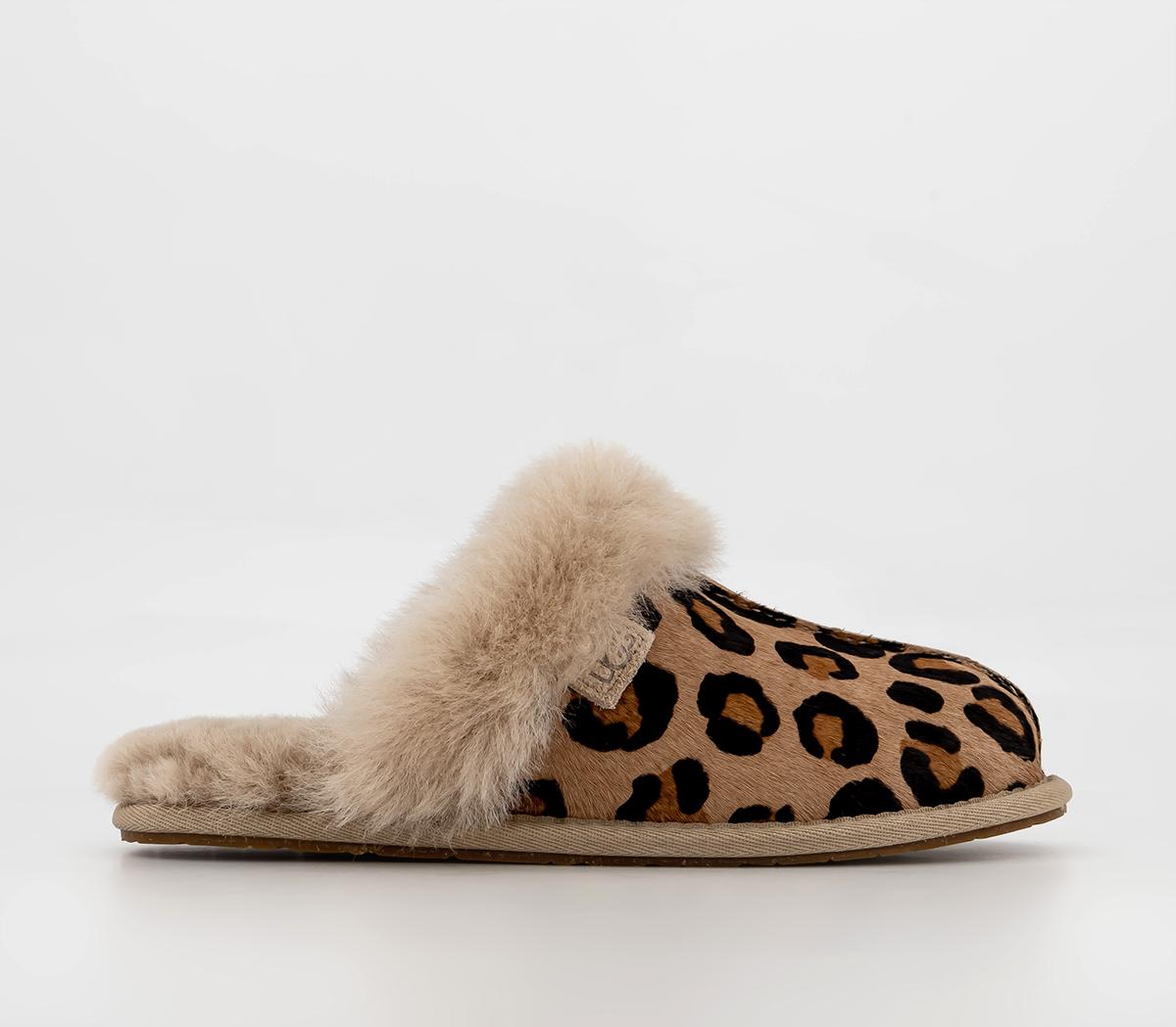 Ugg slippers scuffette leopard new arrivals