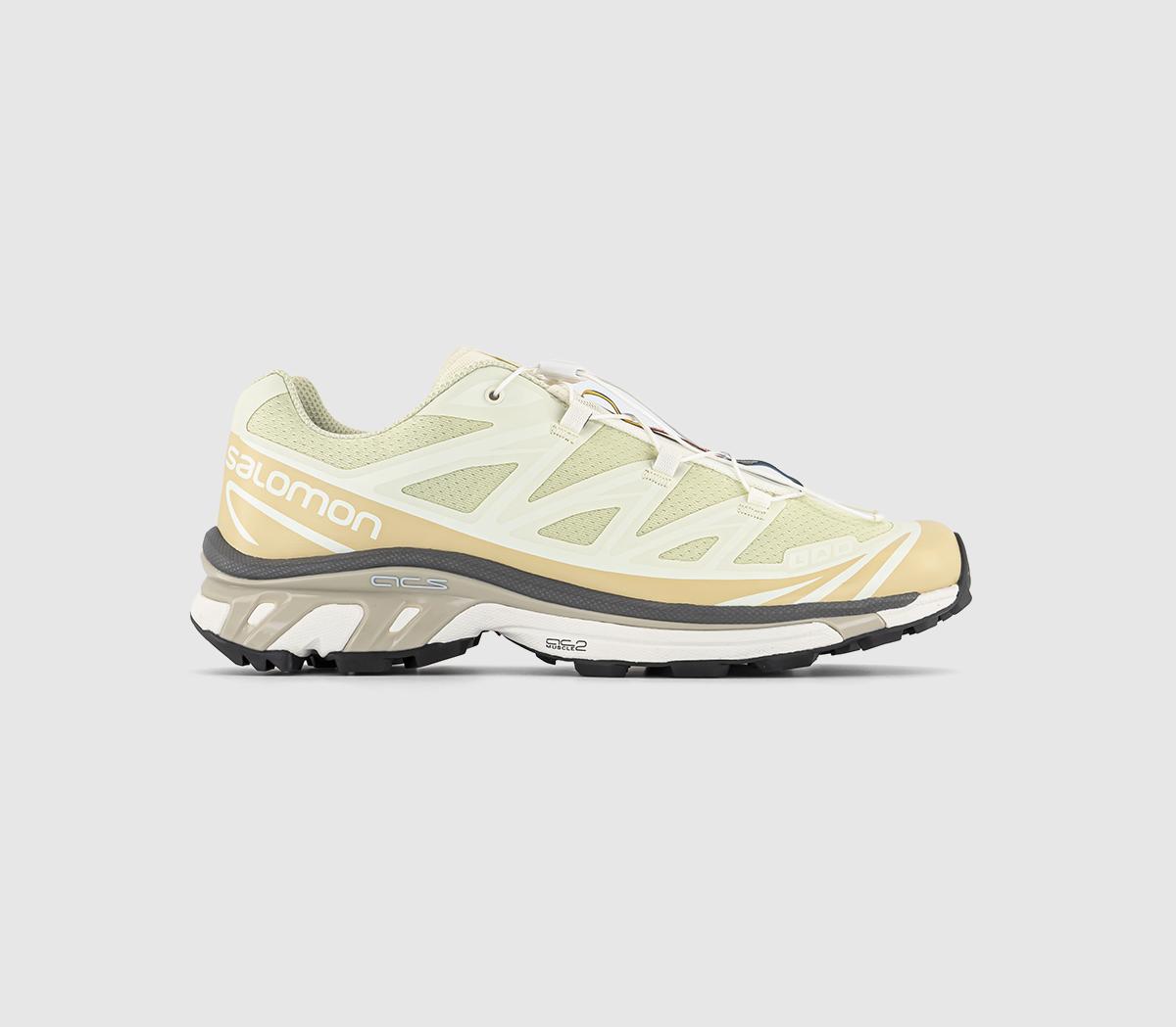 SalomonXt-6 TrainersAloe Wash Hazelnut Feather Gray