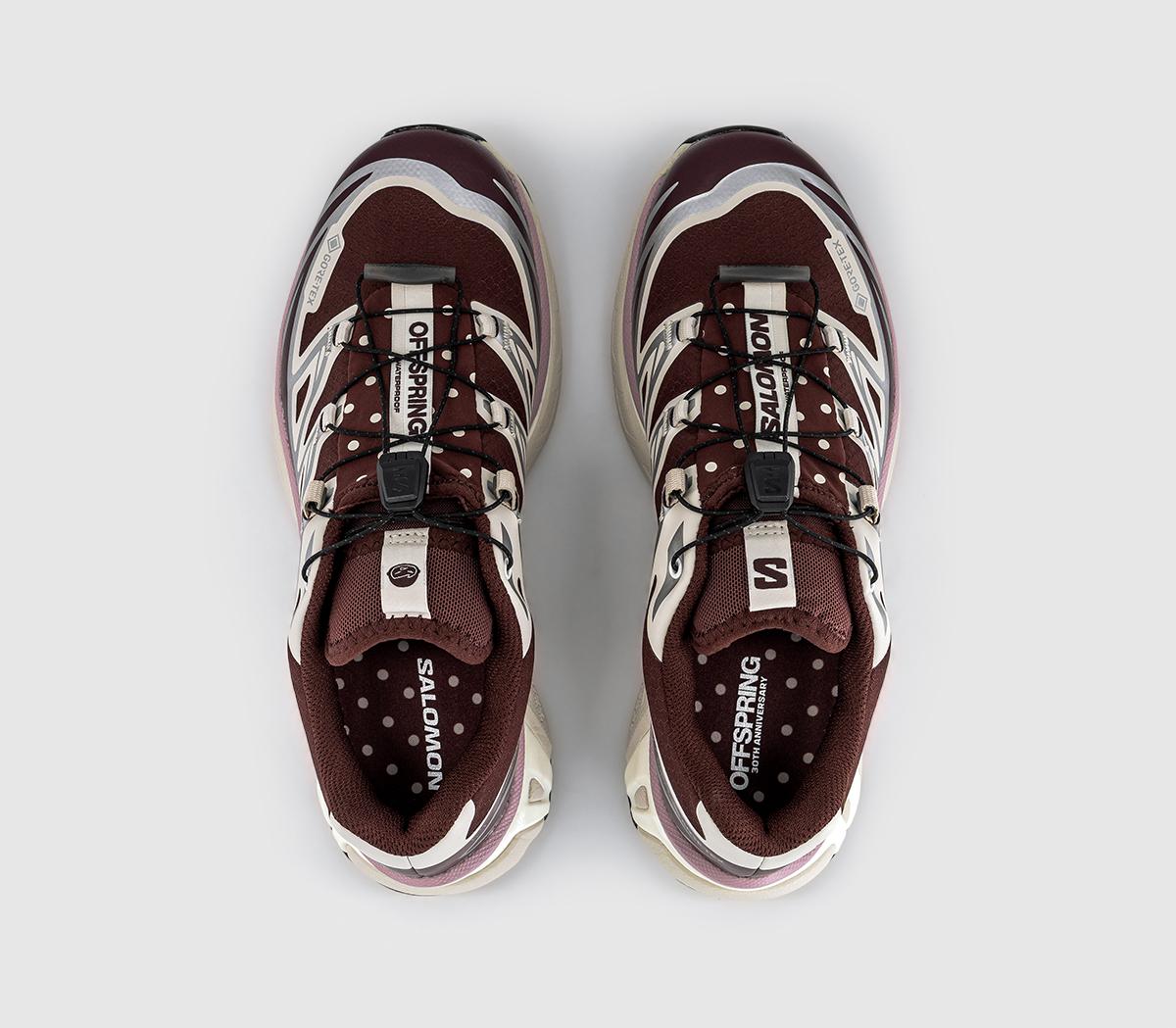 SalomonOFFSPRING x SALOMON XT-6 GTX TRAINERSOffspring Bitter Chocolate Rainy Day Pink Yarrow
