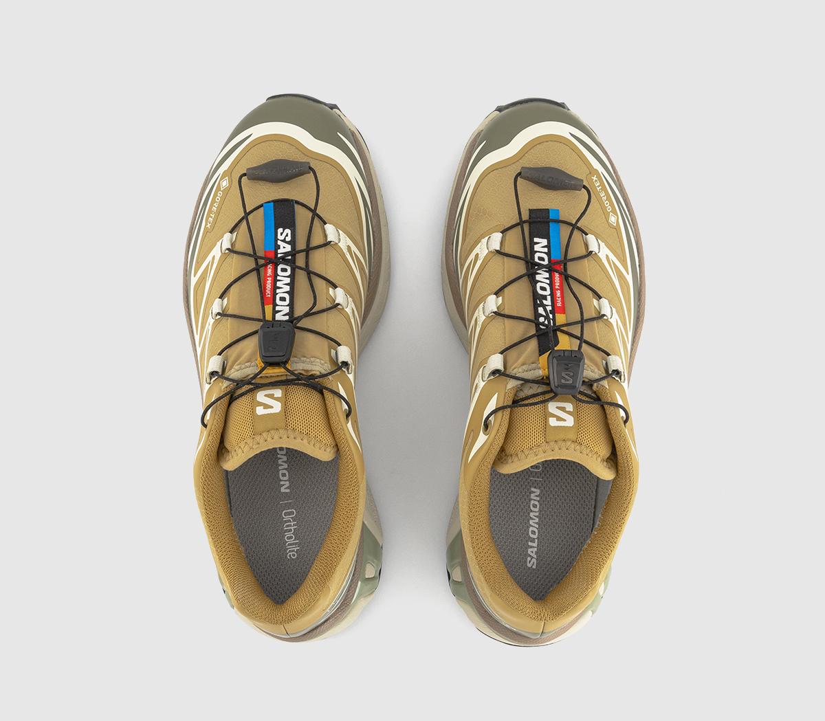 SalomonXT-6 GTX TrainersAntelope Icicle Portab