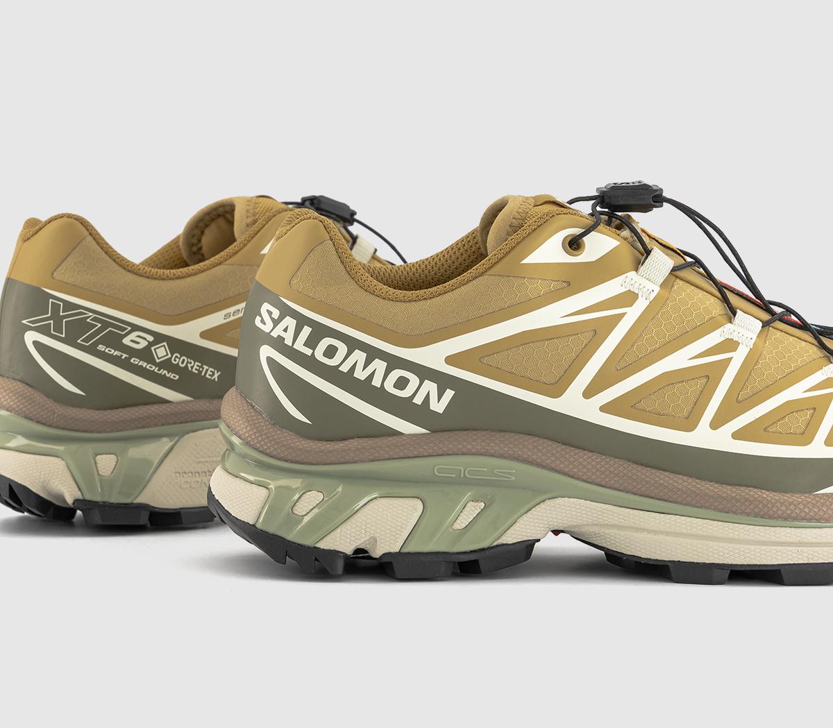 SalomonXT-6 GTX TrainersAntelope Icicle Portab