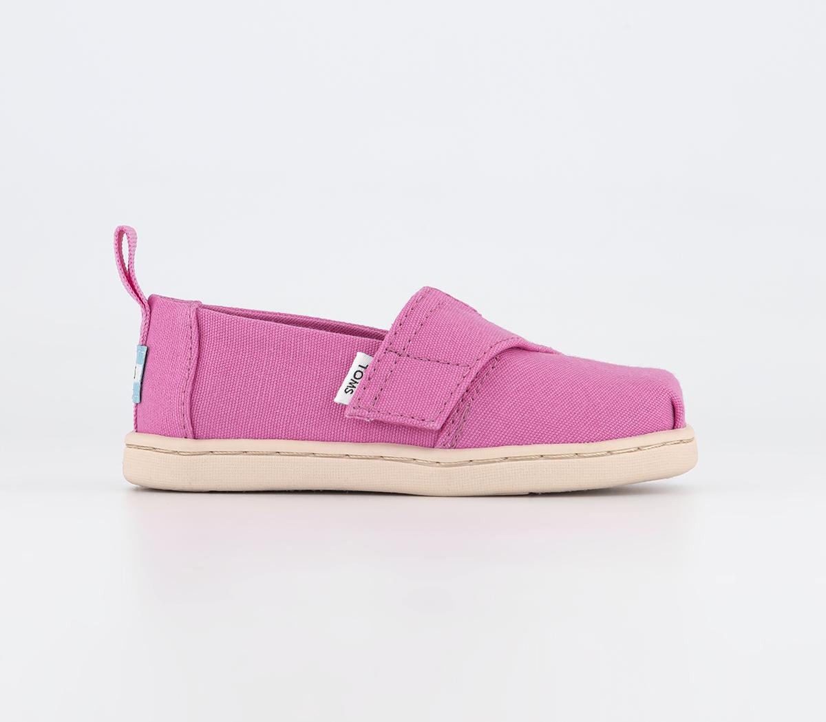TOMSToms Alpargata Tiny Shoes Pink