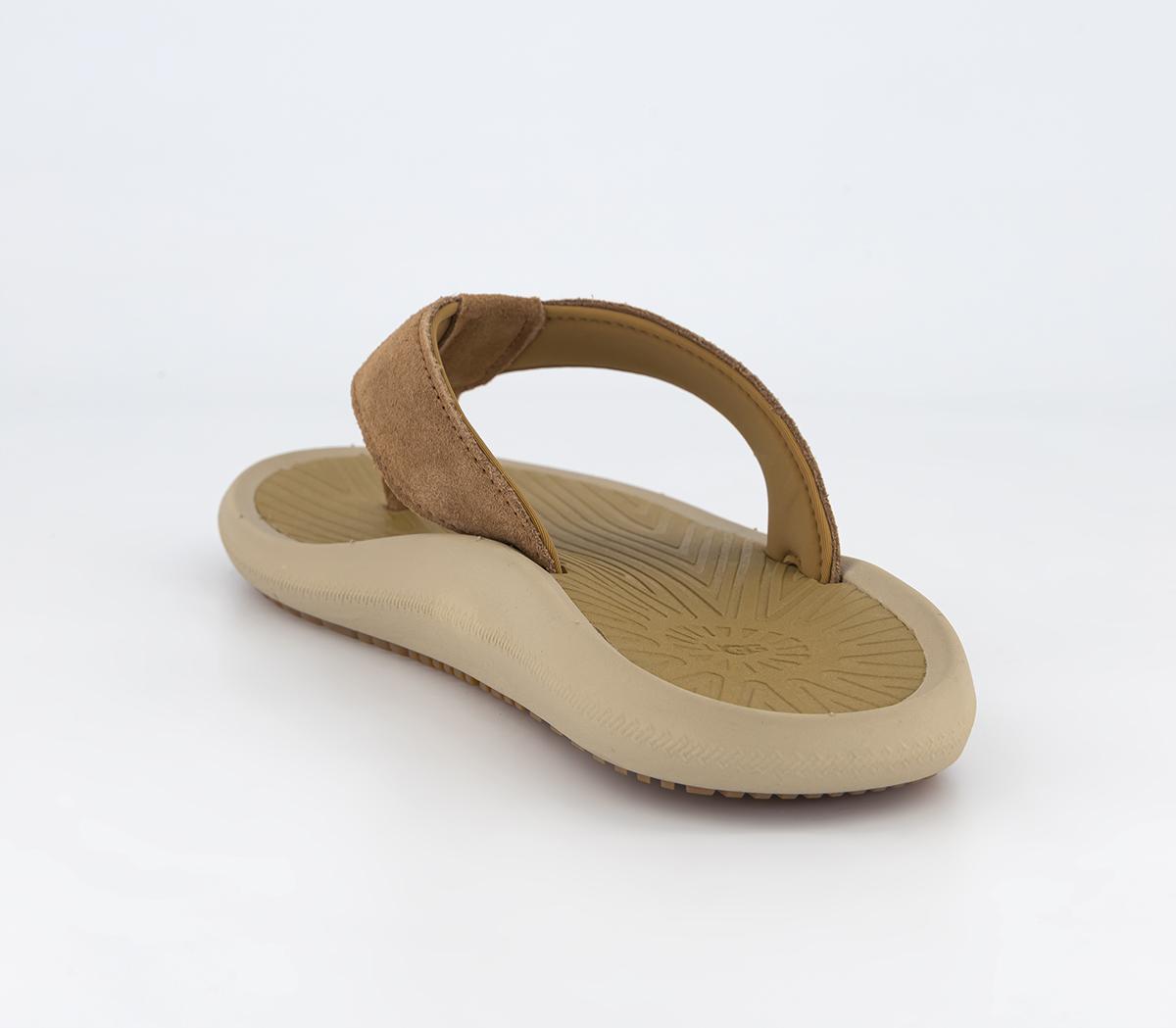 UGGBrookside Ii Flip FlopsChestnut