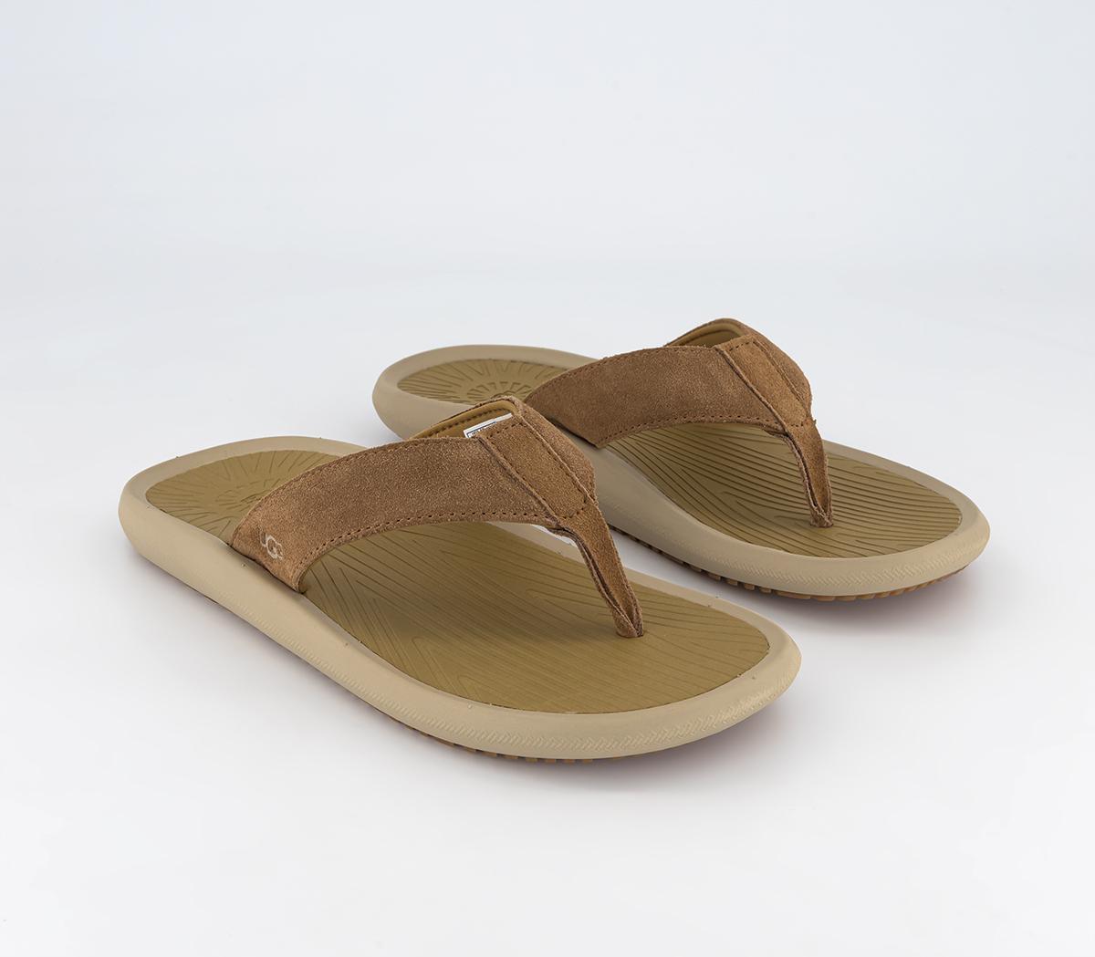 UGGBrookside Ii Flip FlopsChestnut