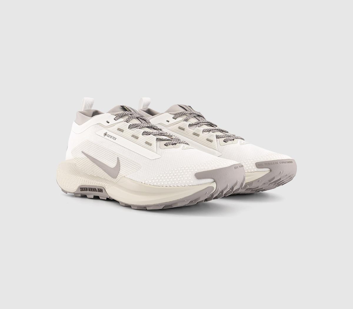 NikeReactx Pegasus Trail 5 Goretex SPSummit White College Grey Light Bone Cave Stone Me