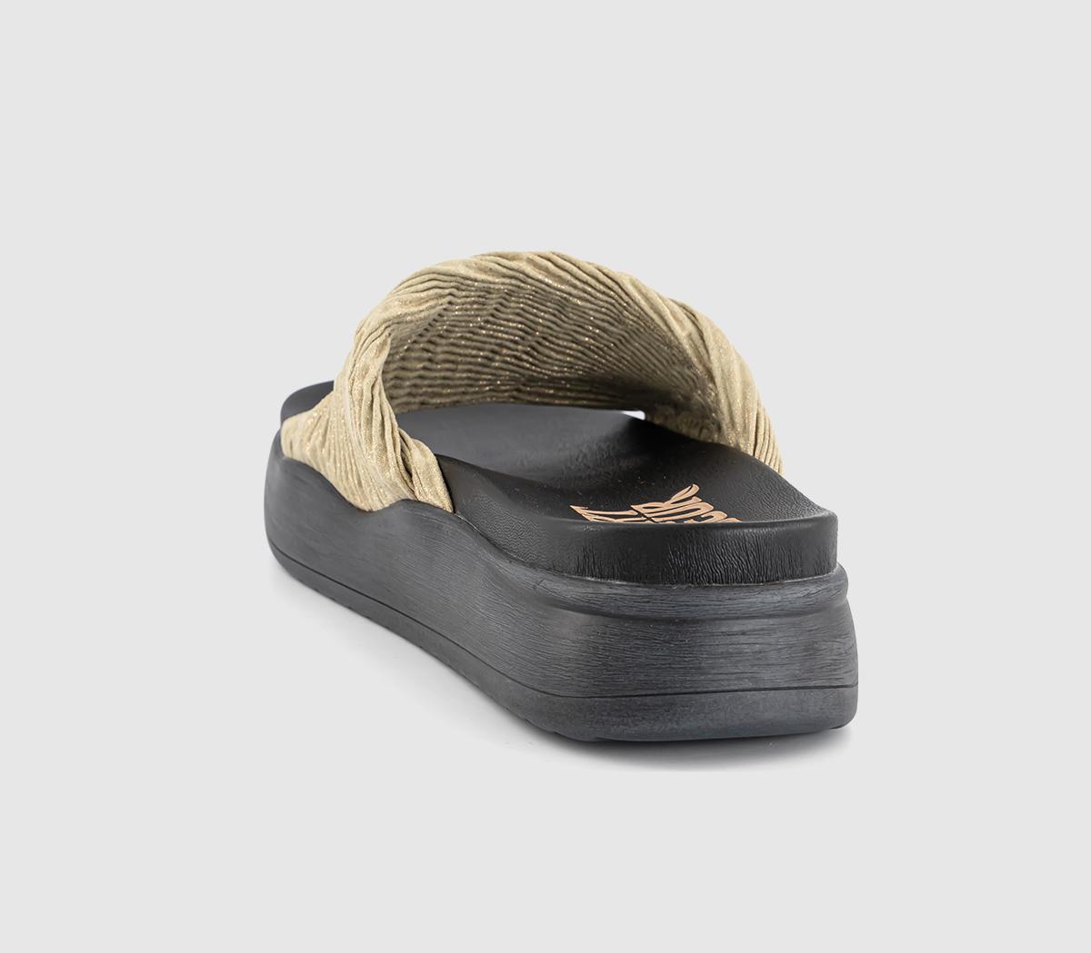 Desert FleurGabbro Slides Desert FleurGabbro SlidesGold