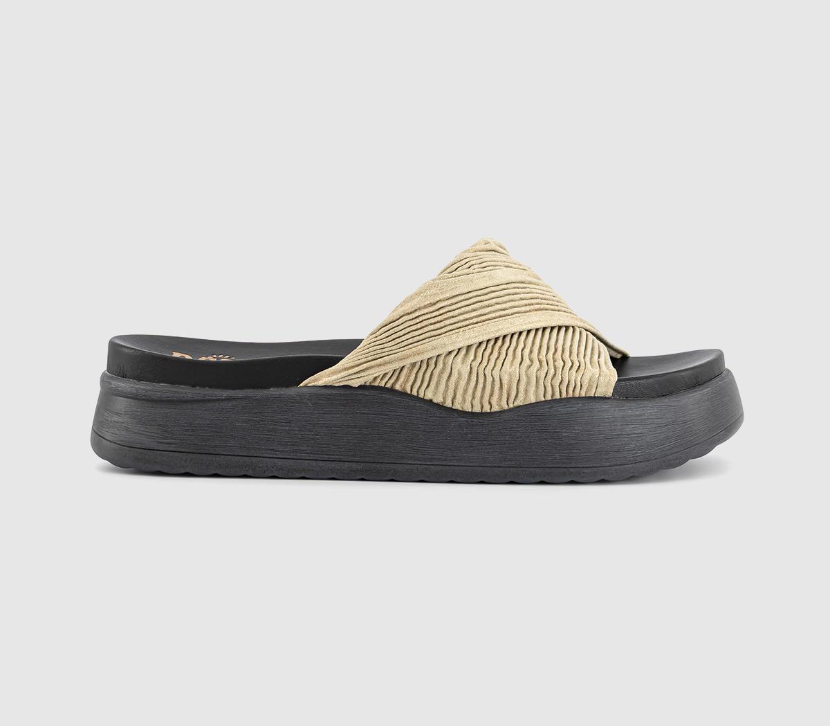Desert FleurGabbro Slides Desert FleurGabbro SlidesGold