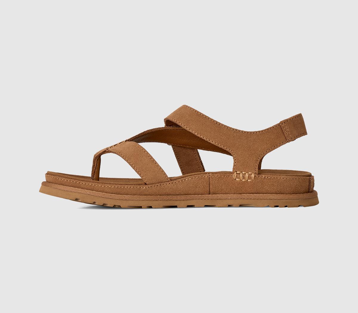 UGGGoldengaze Toe Post SandalsChestnut