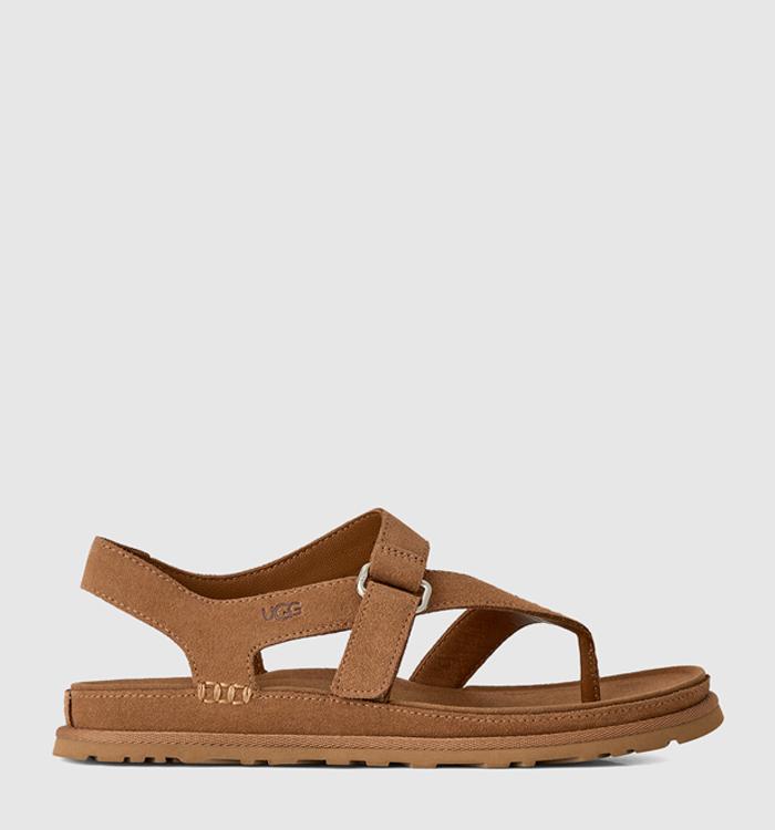 UGG Goldengaze Toe Post Sandals Chestnut