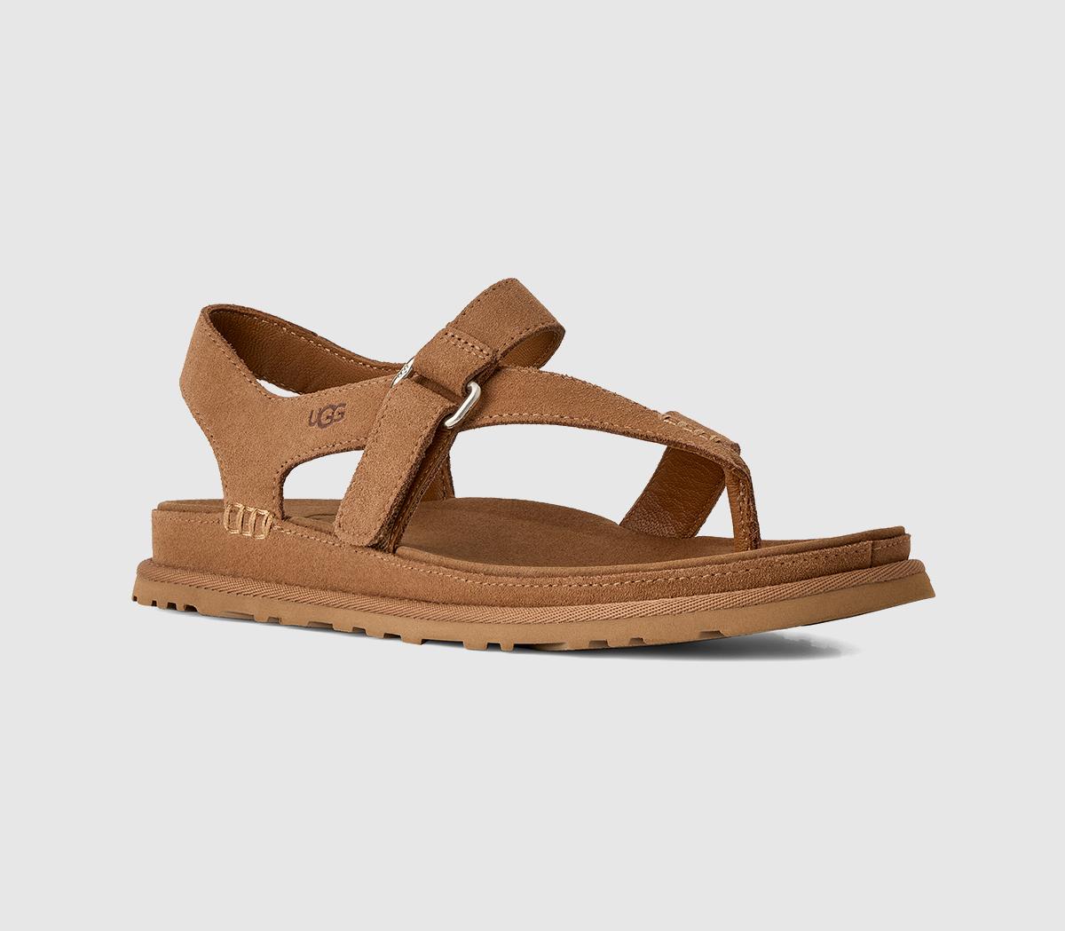 UGGGoldengaze Toe Post SandalsChestnut