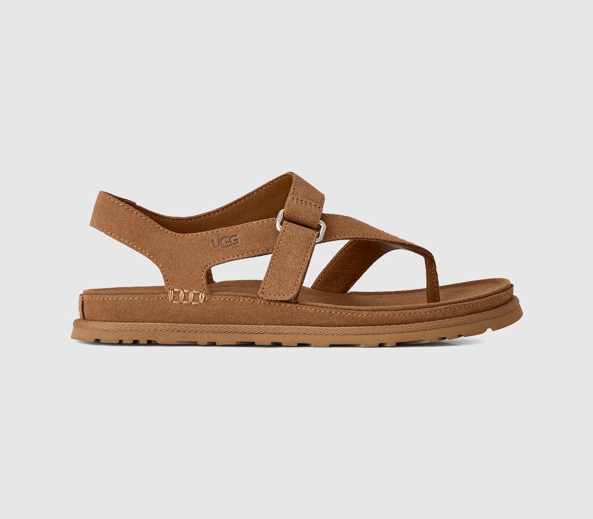 Ugg Goldengaze Toe Post Sandals Chestnut  Tan in Women's Size 3, Office Shoes