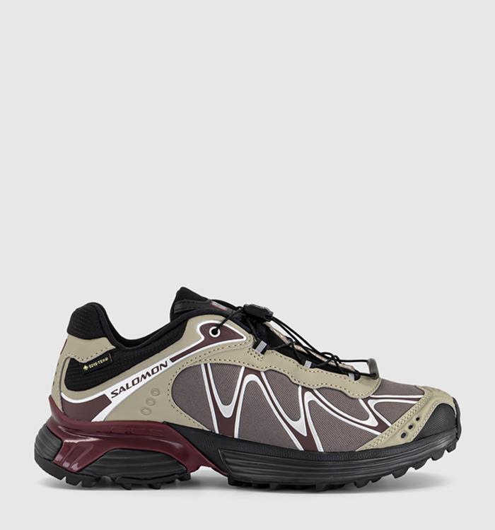 Salomon Xt-whisper Gtx Trainers Silver Sage Huckleberry Maroon Banner