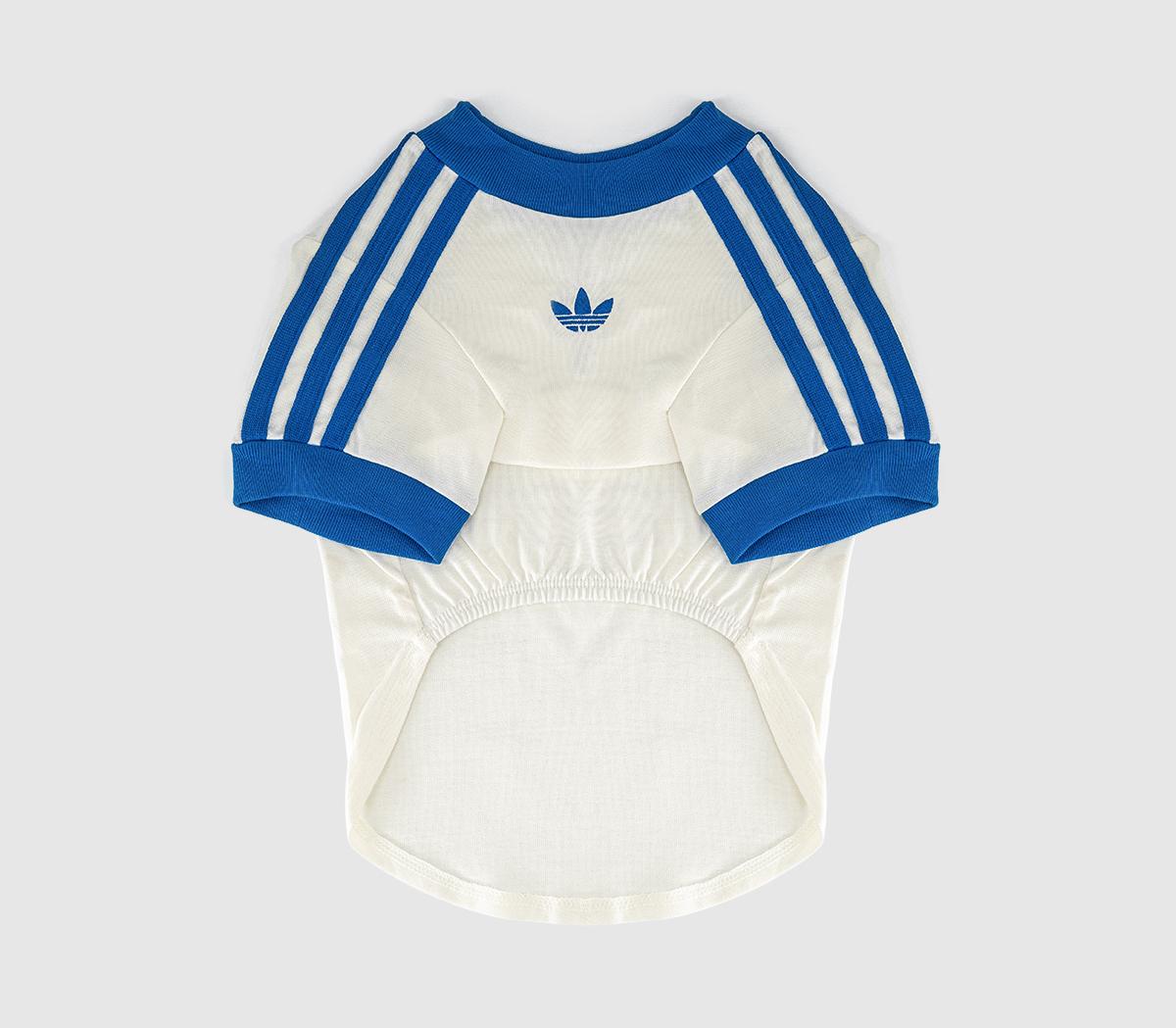Adidas Pet Cali Tee Off Blue Bird White in   Size S, Office Shoes
