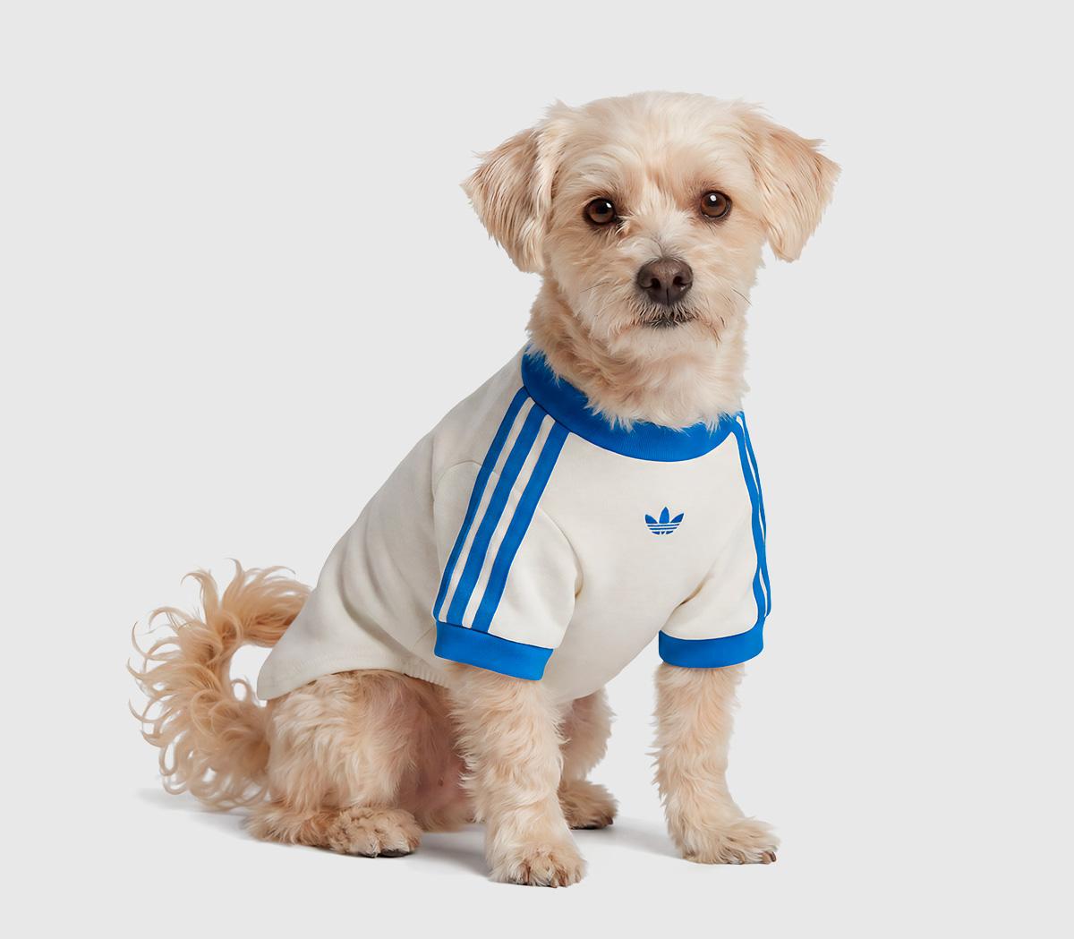 adidasPet Cali TeeOffwhite Blue Bird
