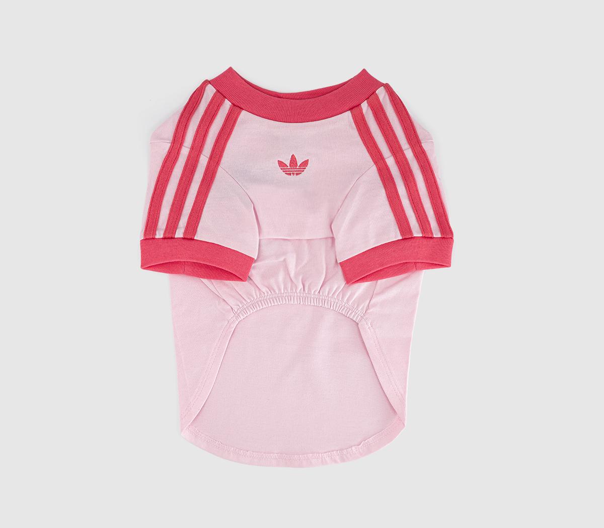 Adidas Pet Cali Tee Clear Real Pink in   Size S, Office Shoes