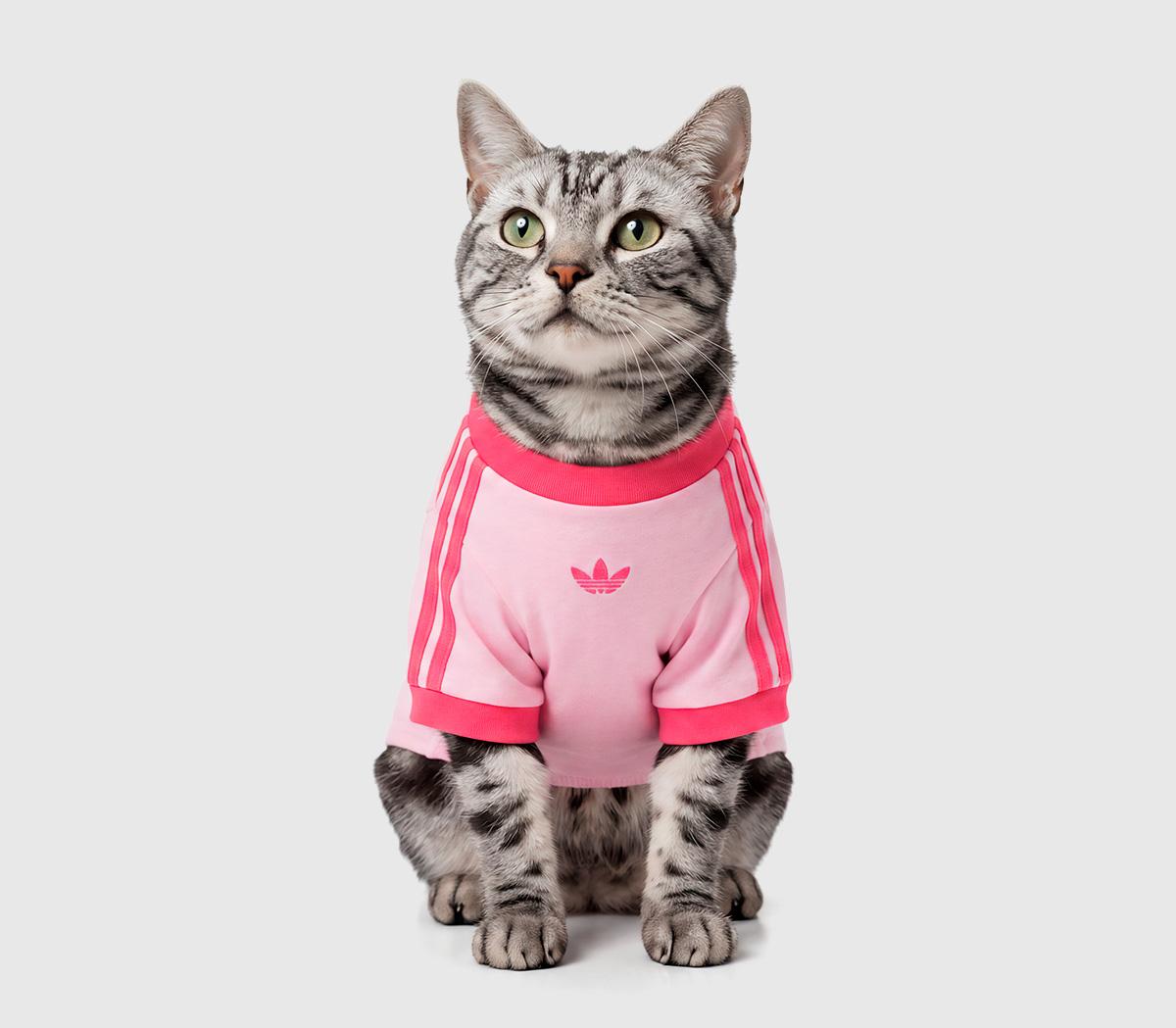 adidasPet Cali TeeClear Pink Real Pink