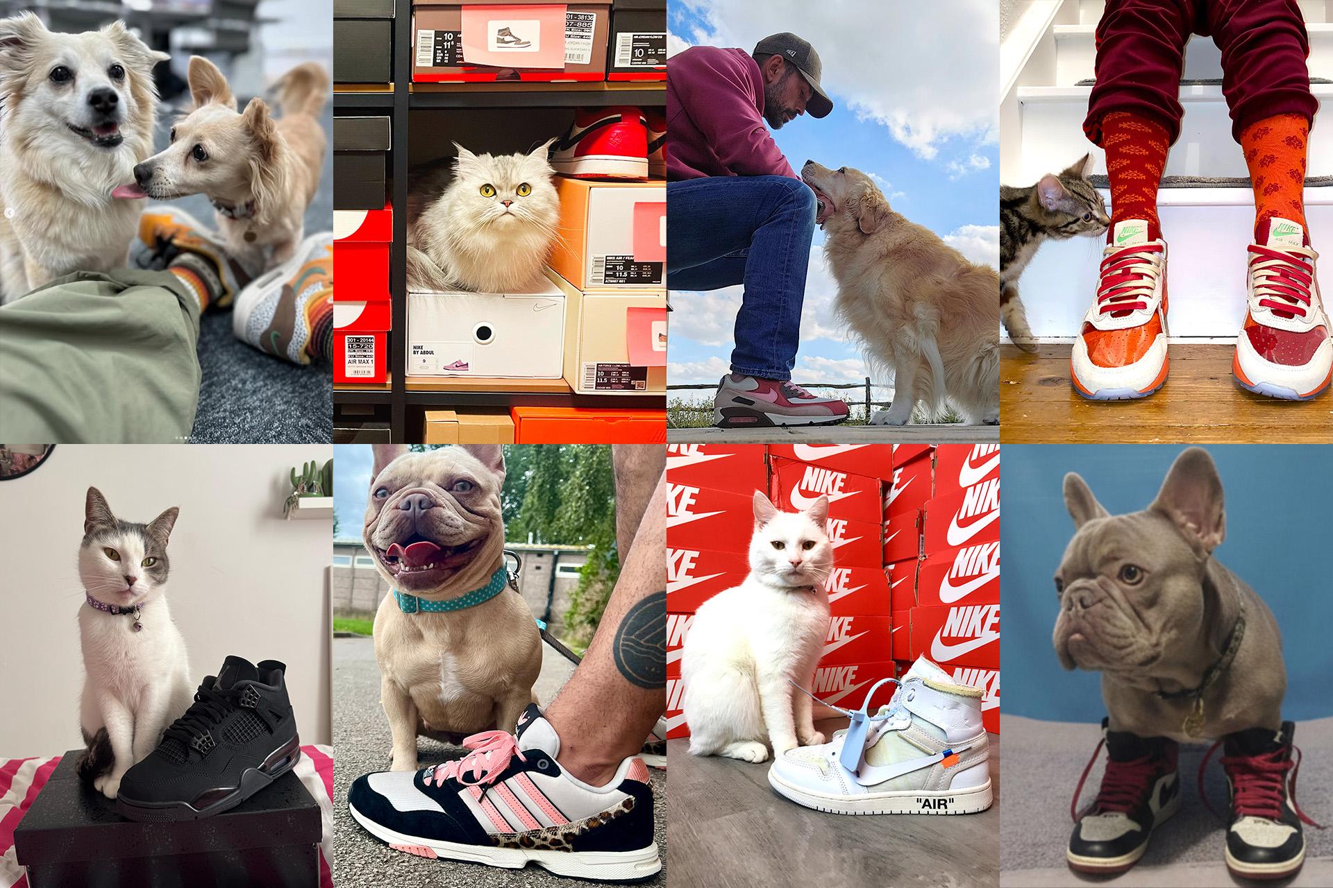 PETS & KICKS