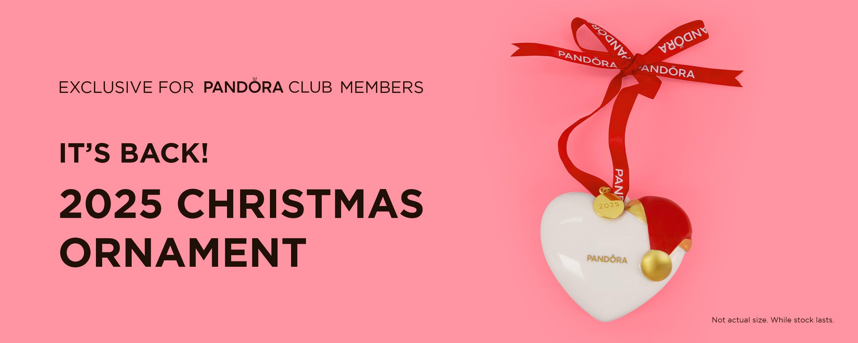 IE_Ecom_Ornament_Launch_Page_C