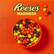 Reese's Pieces Peanut Butter Candy 153pc