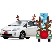Reindeer Car Kit 3pc