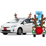 Reindeer Car Kit 3pc