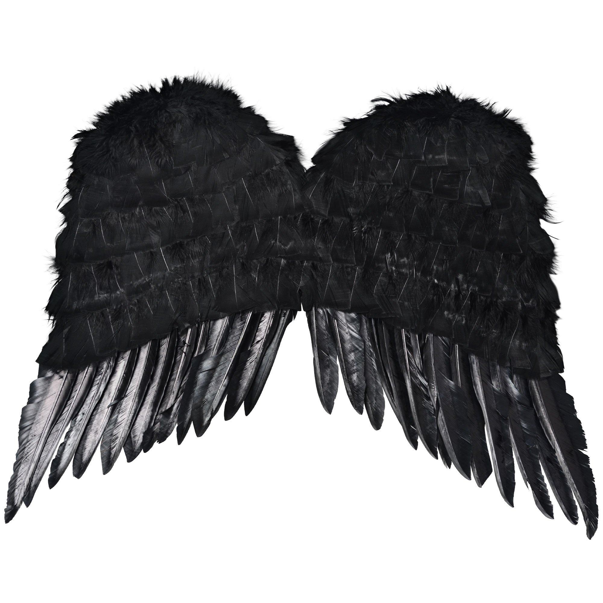 black wings  Wings, Feather wings, Black feathers