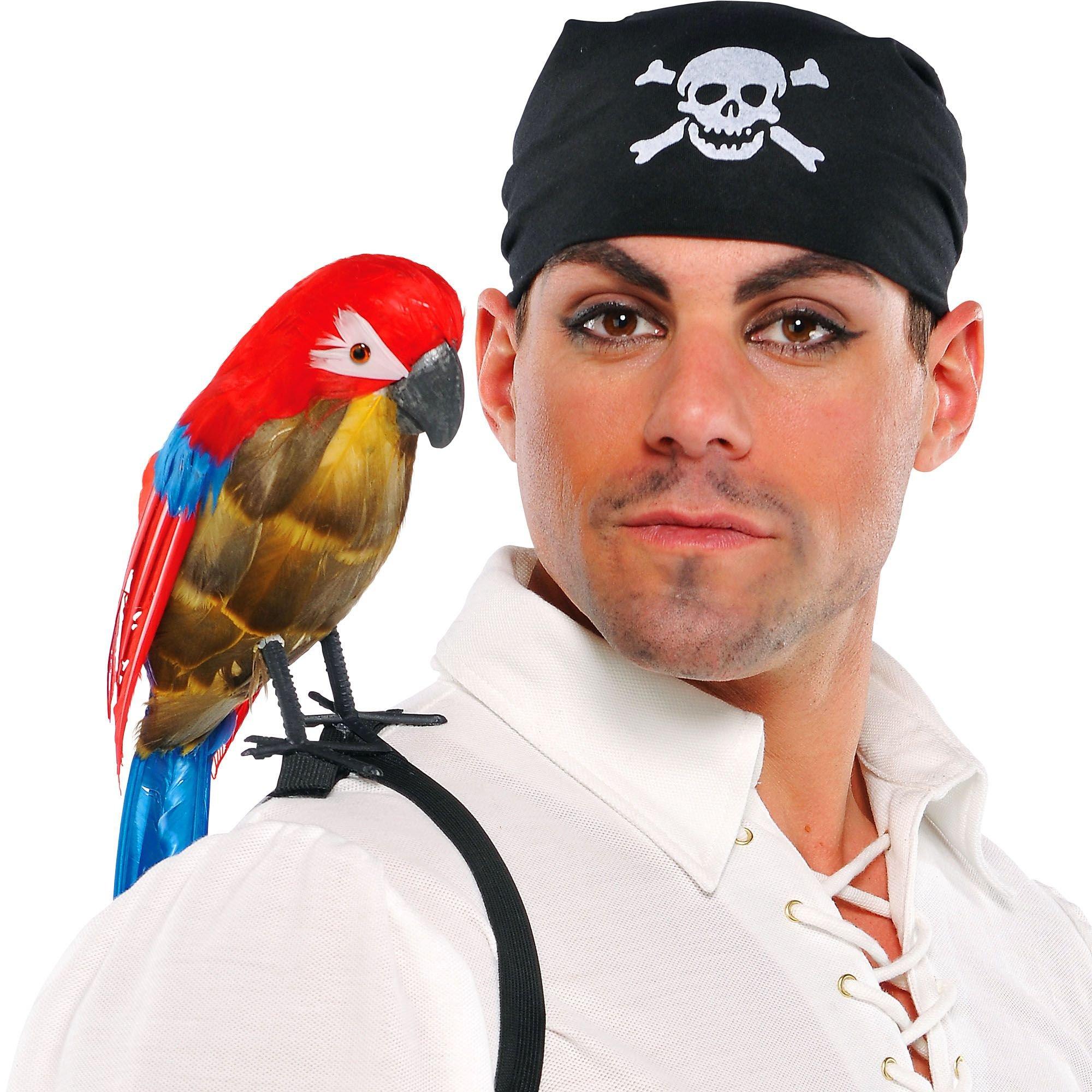 pirate parrot shoulder