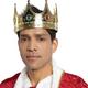 Adult Jeweled King Crown