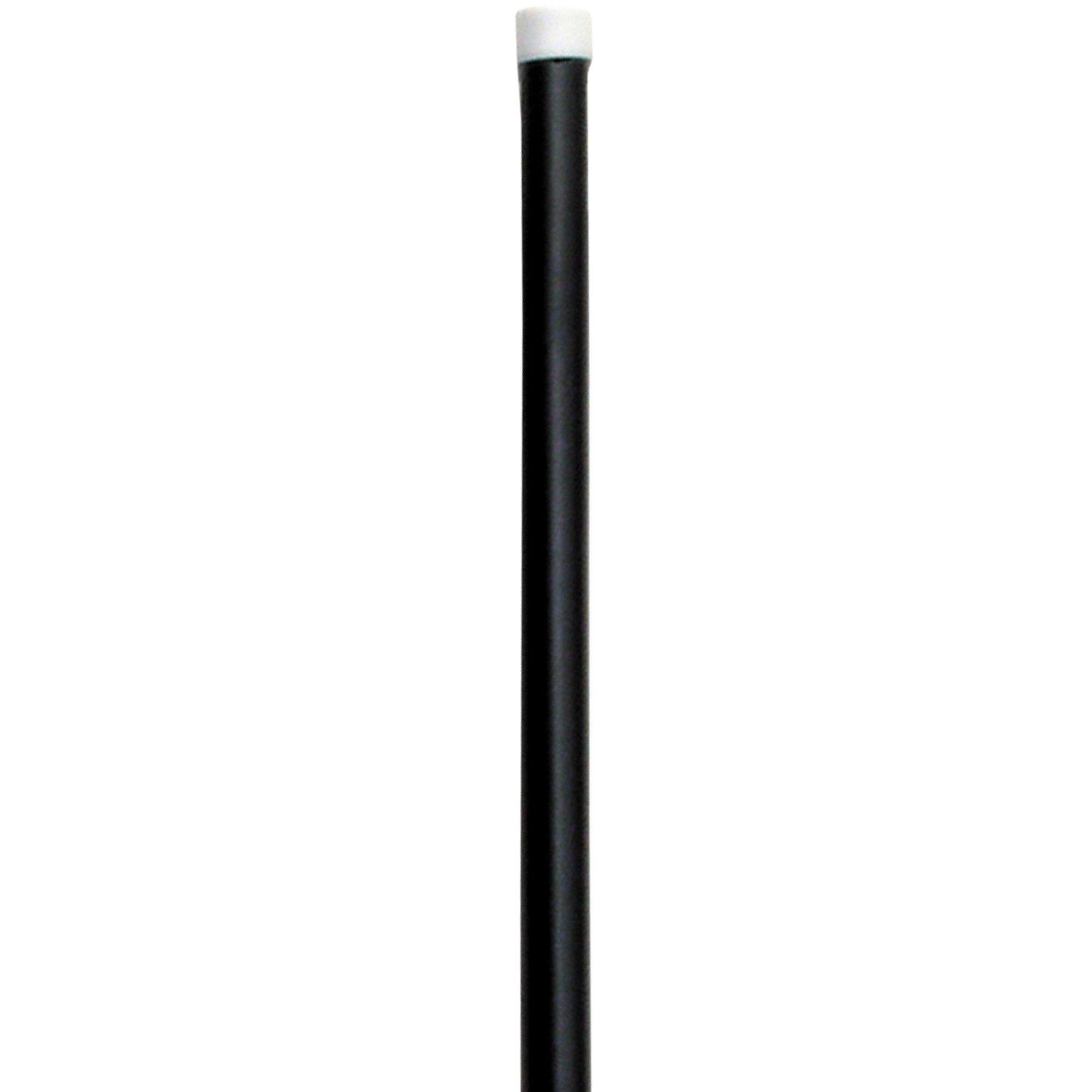 Black Dance Cane 36in