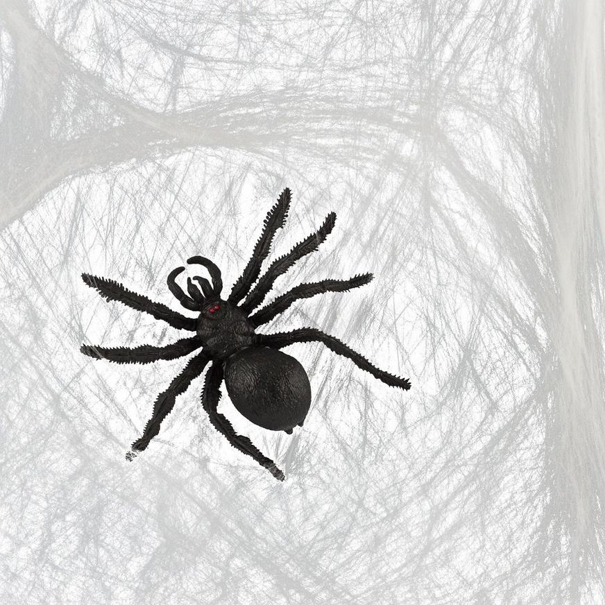 Big Spider & Web