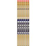 Pittsburgh Panthers Pencils 6ct