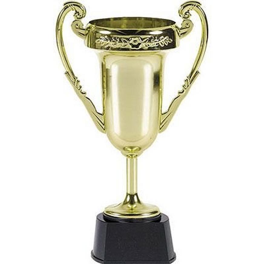 Trophy Award For Well Done Pack Of 10 Cheaper Than Buying 10 Trophies 