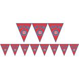 Chicago Cubs Pennant Banner
