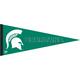 Michigan State Spartans Pennant Flag