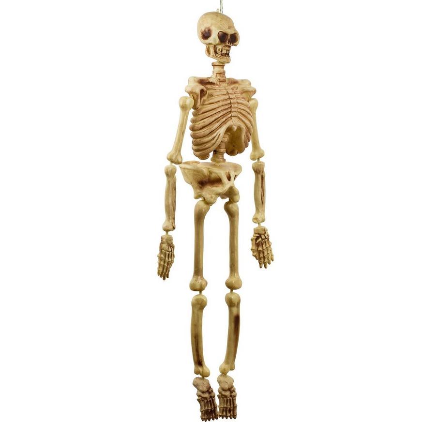Hanging Plastic Skeleton, 5ft