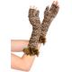 Fingerless Leopard Print Gloves