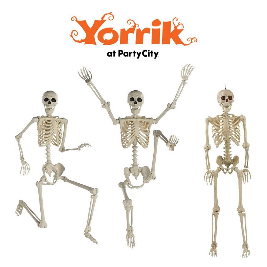 Human Skeletons Skeleton Cage Life-Size Halloween Prop 