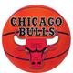 Chicago Bulls Cutout