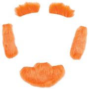 Leprechaun Facial Hair Set